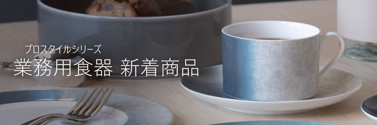 プロスタイル ( 業務用食器 ) 新着商品(並び順：標準)