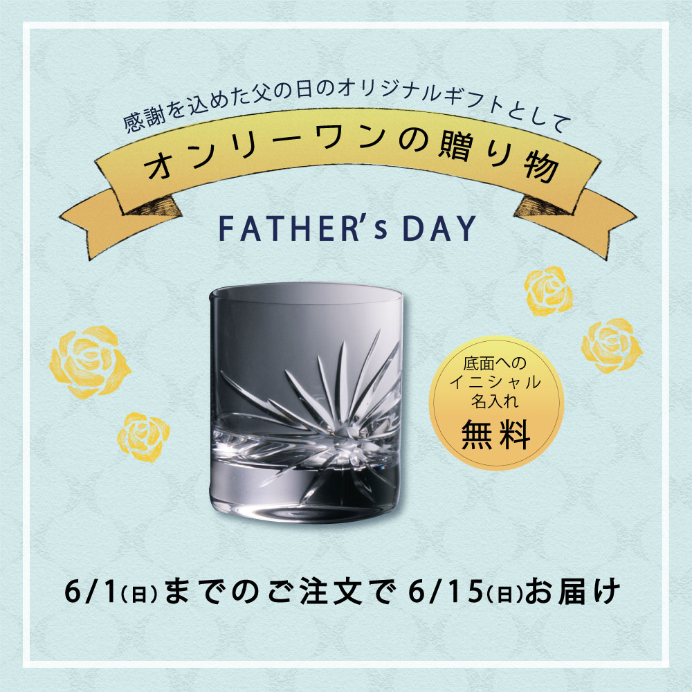 ｶﾞｲｱﾛｯｸｸﾞﾗｽN