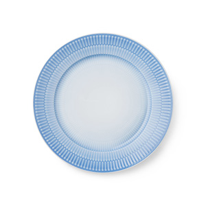 22cmﾌﾟﾚｰﾄﾌﾞﾙｰ