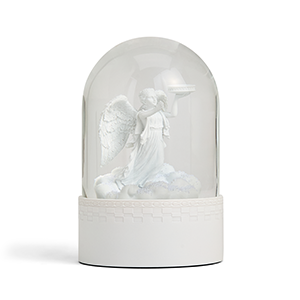 ｽﾉｰｸﾞﾛｰﾌﾞ2025