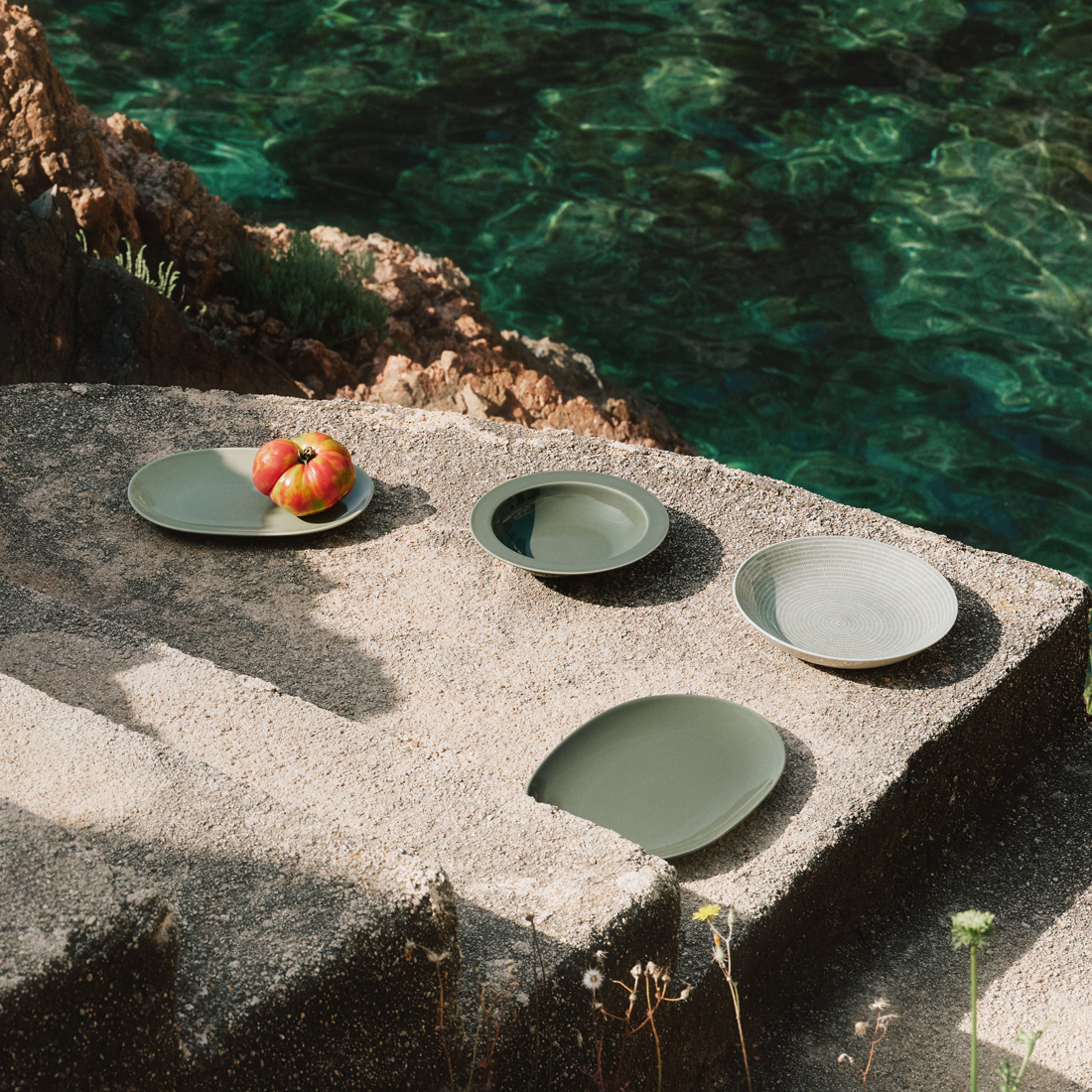 24cmﾃﾞｨｰﾌﾟﾌﾟﾚｰﾄ(ｸﾞﾘｰﾝ)