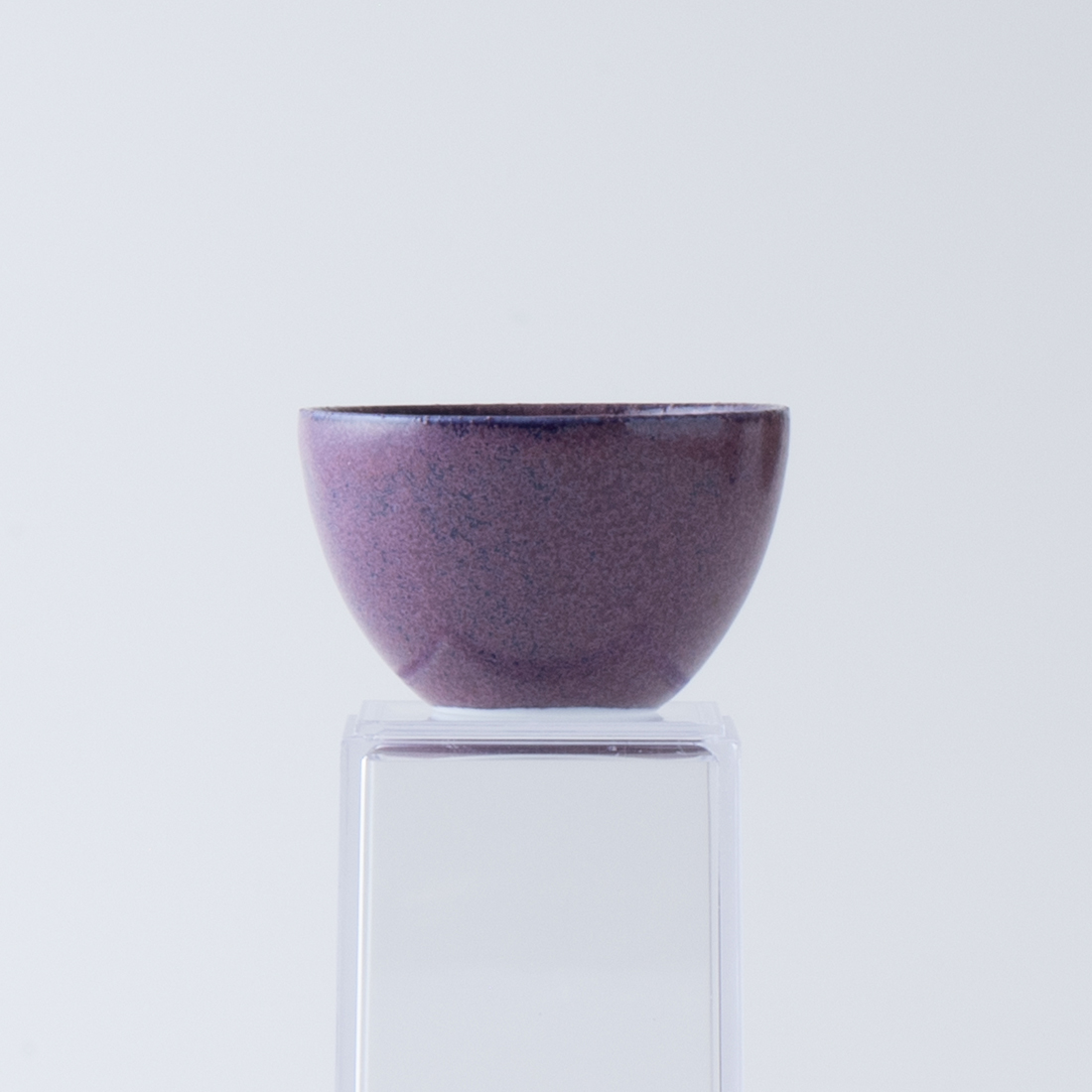 ﾊﾞｲｵﾚｯﾄ6cmﾌﾟﾁｶｯﾌﾟ