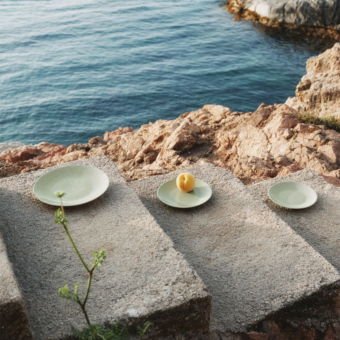 26cmﾌﾟﾚｰﾄ(ｸﾞﾘｰﾝ)