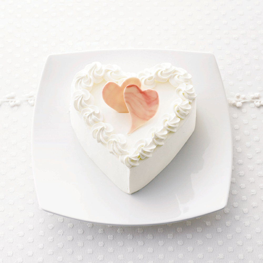 24(20)cmスクエアプレートセット(スタイルズ)