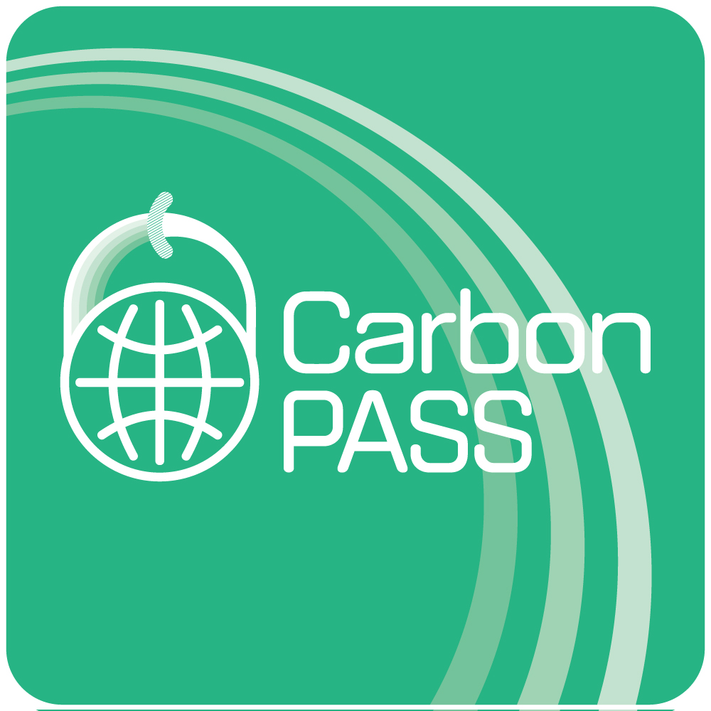 12cmﾌﾟﾚｰﾄ(ﾀﾞｰｸﾌﾞﾗｳﾝ)