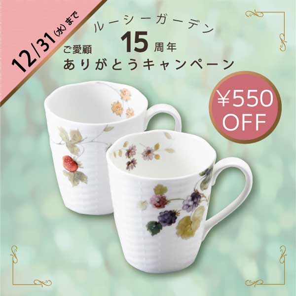 【Bridal Gift】ルーシーガーデン マグカップセット(アソート) 370cc 2人用 電子レンジ温め 食洗機対応 (96011-21903P)