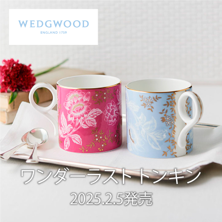 ワンダーラストトンキン発売