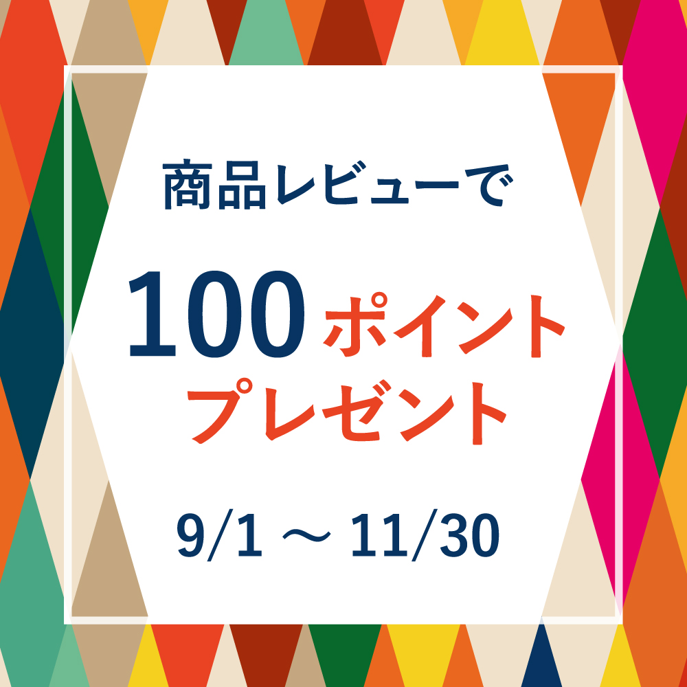 レビューキャンペーン実施中!