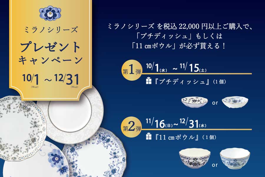 長期保存　新品未使用　ナルミチャイナ　２１点セット　鳴海製陶株式会社 長期保存 新品未使用 ナルミチャイナ 21点セット 鳴海製陶株式